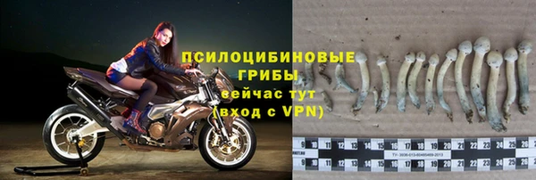 первитин Богданович