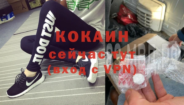 первитин Богданович